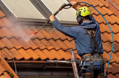 Démoussage et hydrofuge de toiture à Champougny